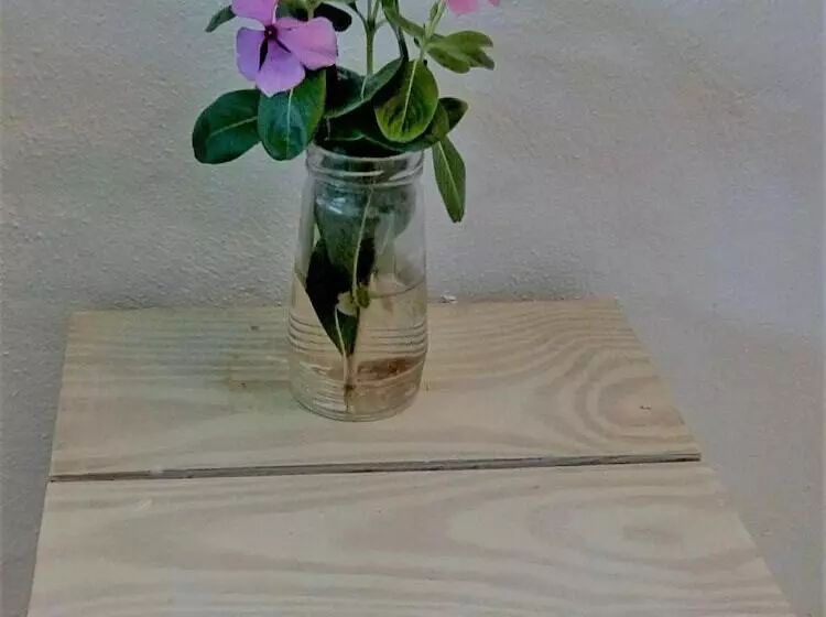 Richmond Vale Diving And Hiking Center   Hostel