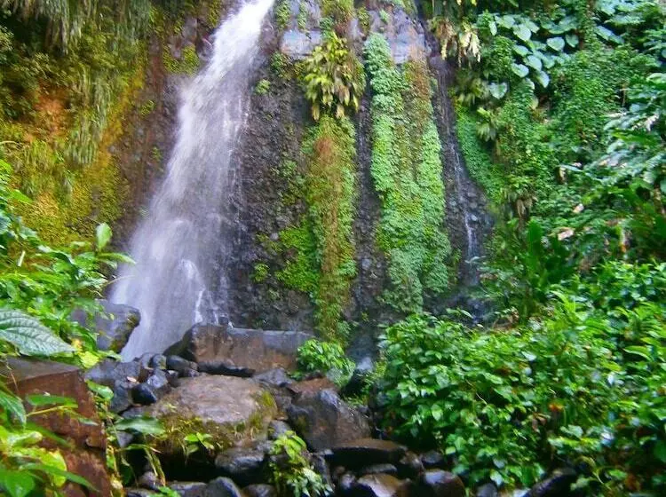 Richmond Vale Diving And Hiking Center   Hostel