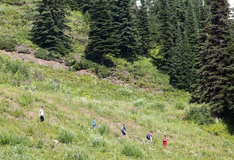 Vance Creek Hotel & Conference Centre