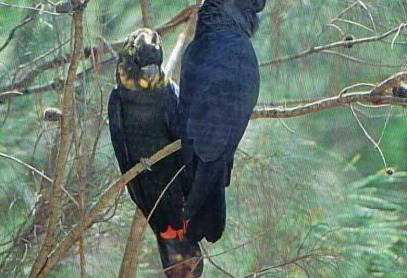 A Sacred Mountain Retreat