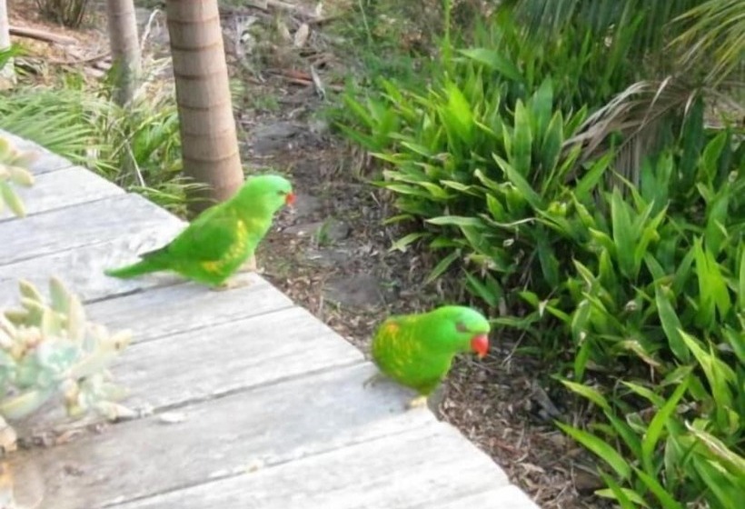 A Sacred Mountain Retreat