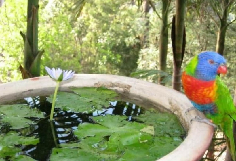 A Sacred Mountain Retreat