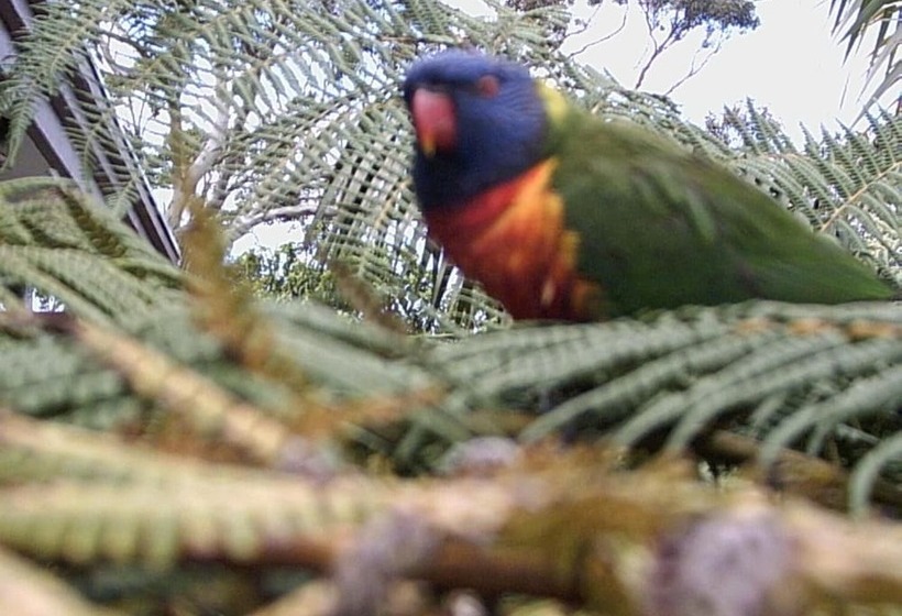 A Sacred Mountain Retreat