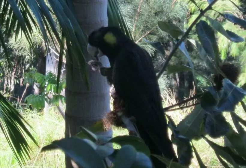 A Sacred Mountain Retreat