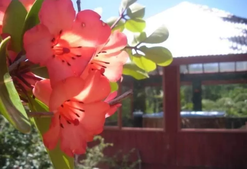 Retkeilymaja Sunseeker Lodge