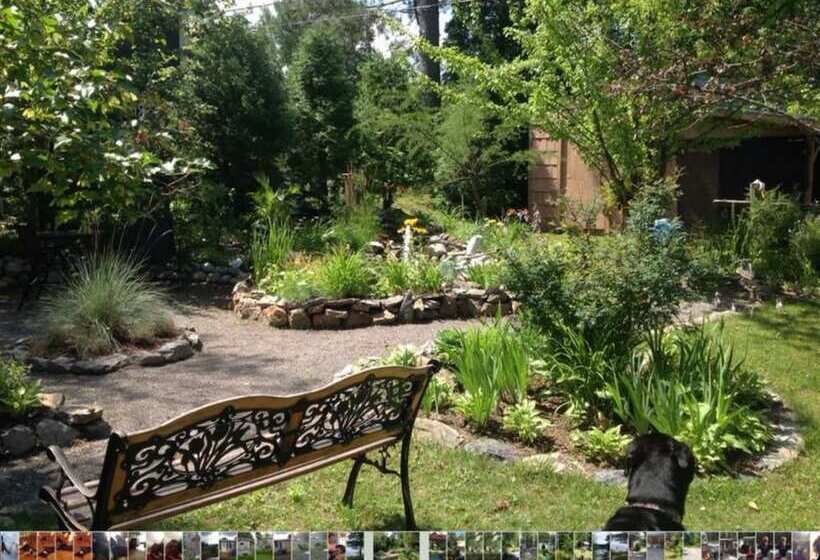 住宿加早餐 Gîte Du Lac Docteur