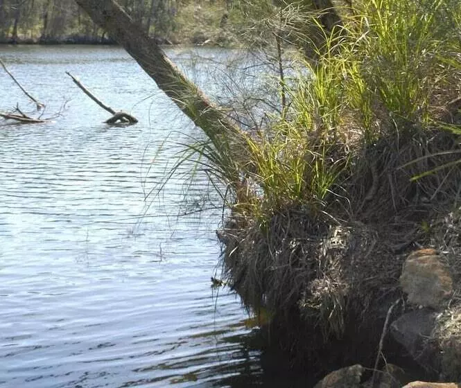 Bewong River Retreat