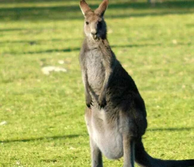 Bewong River Retreat