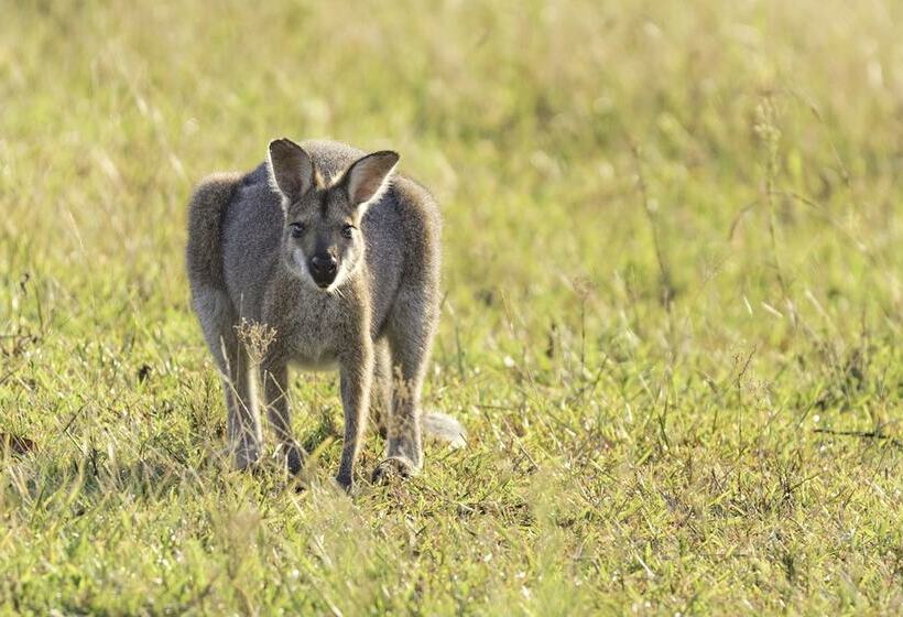 Clarendon Forest Retreat