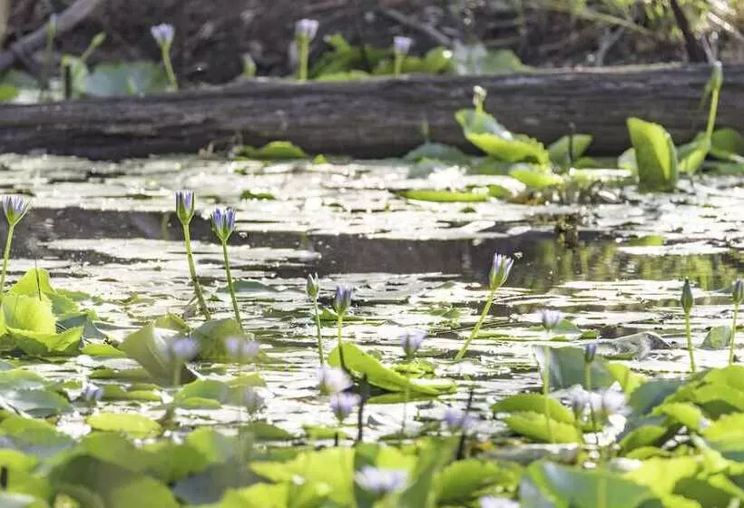 Clarendon Forest Retreat