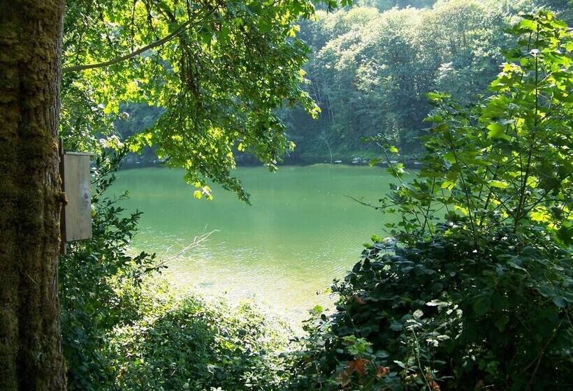 Daybreak Haven Bed & Breakfast