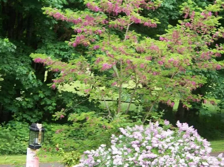 Daybreak Haven Bed & Breakfast