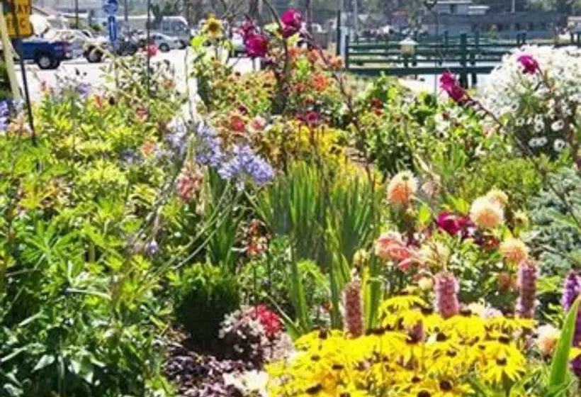 Daybreak Haven Bed & Breakfast