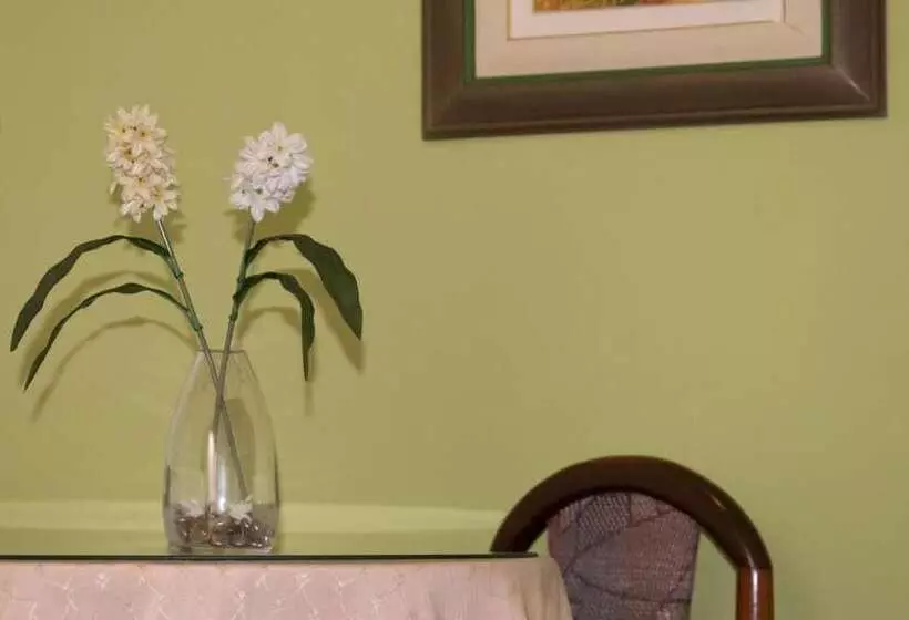 Hostal Solari