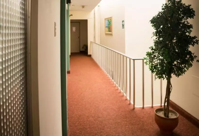 Hostal Solari