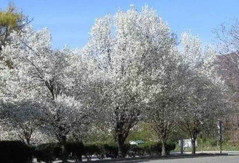 Hotelli Macarthur Inn