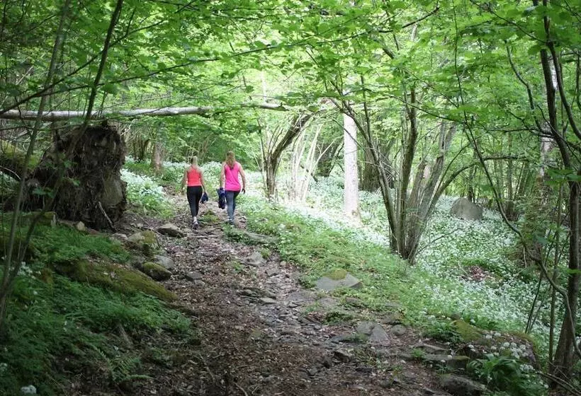 Hotelli Lygnerns Pensionat & Konferens