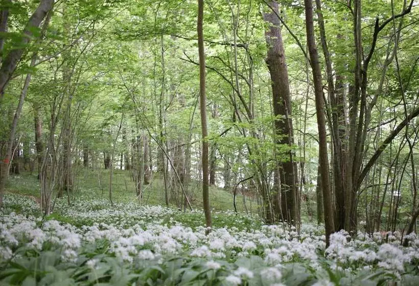 Hotelli Lygnerns Pensionat & Konferens