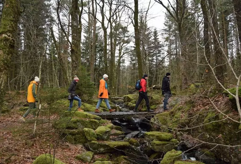 Hotelli Lygnerns Pensionat & Konferens