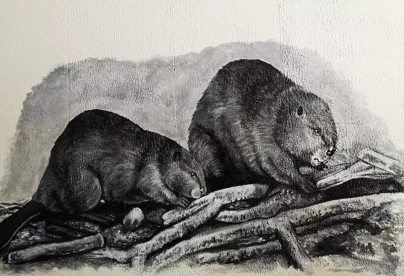 Motelli Overlook Inn & Cabins