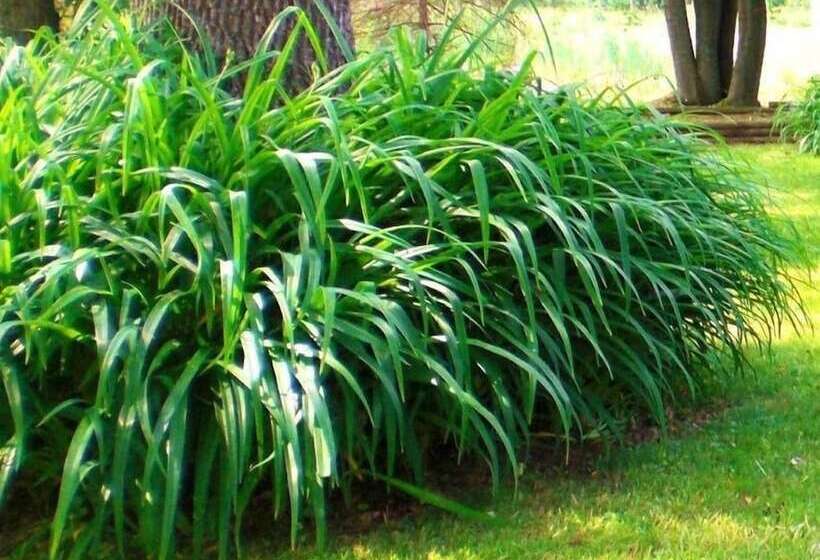 Pensionat Windswept On The Trent
