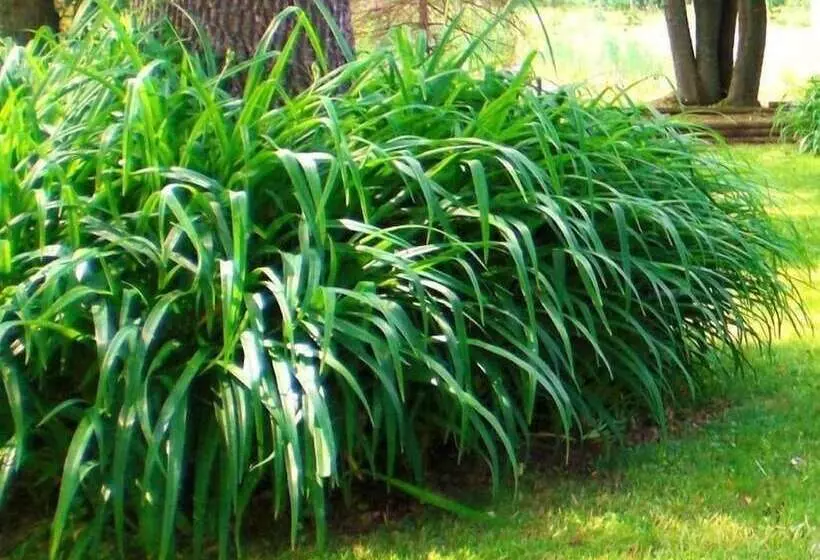 Majatalo Windswept On The Trent