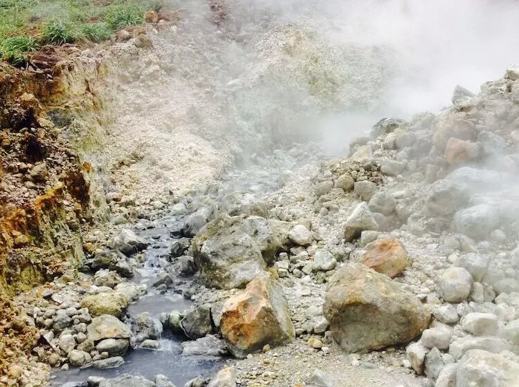 استراحتگاه Pagua Bay House Oceanfront Cabanas