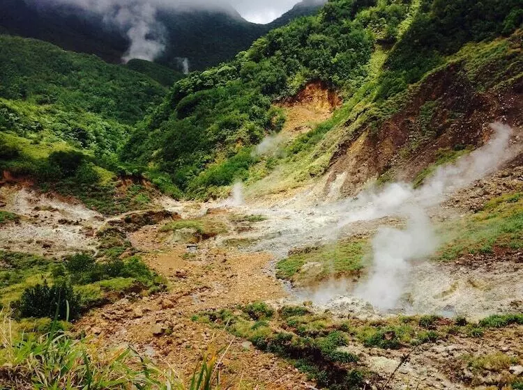 استراحتگاه Pagua Bay House Oceanfront Cabanas