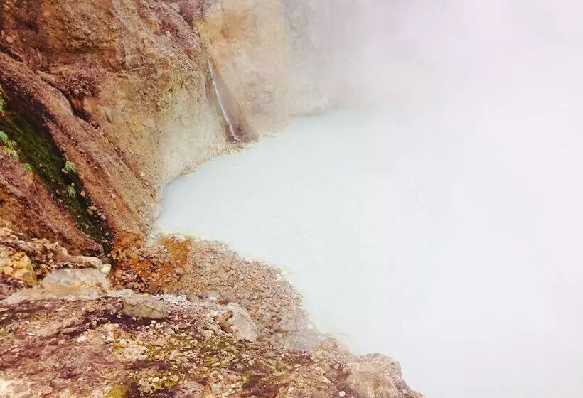 استراحتگاه Pagua Bay House Oceanfront Cabanas