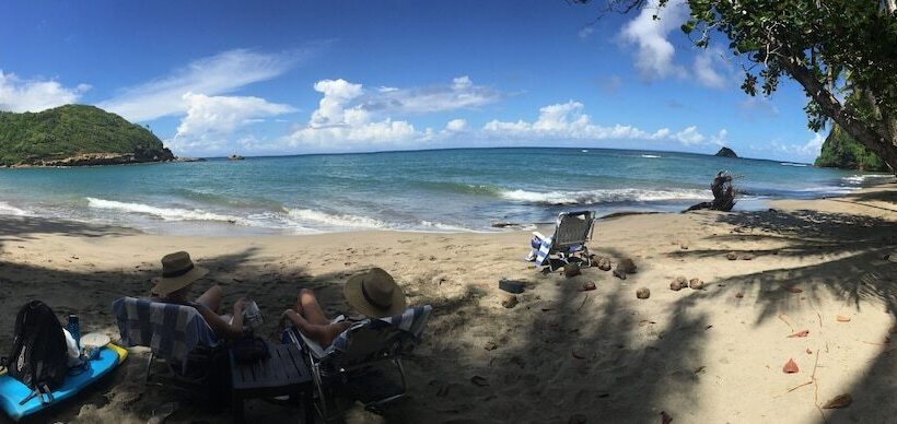 استراحتگاه Pagua Bay House Oceanfront Cabanas