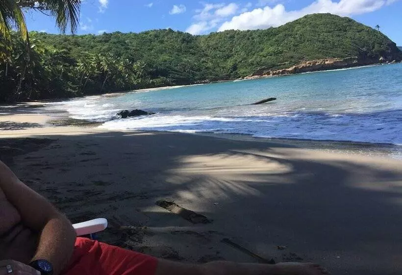 استراحتگاه Pagua Bay House Oceanfront Cabanas