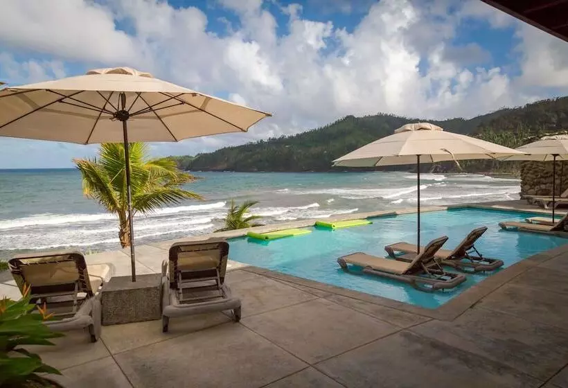 استراحتگاه Pagua Bay House Oceanfront Cabanas