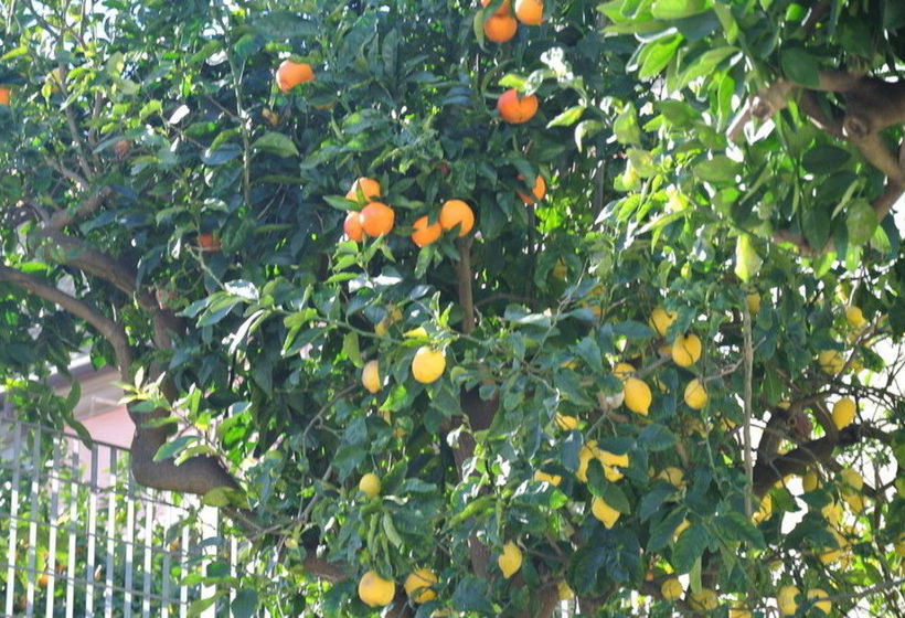 Casa Vacanze Villa San Francesco