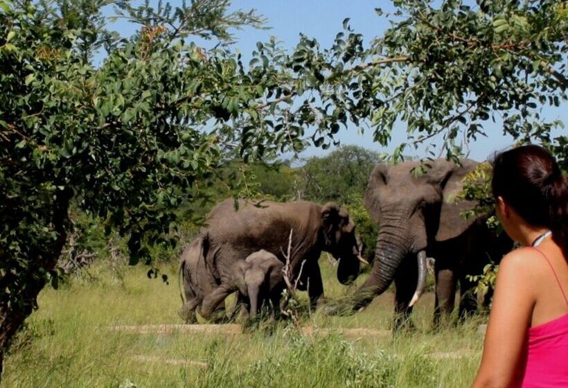 ホテル Baobab Ridge Private Lodge