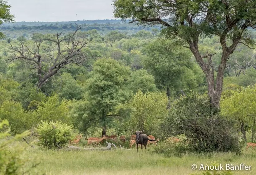 בית מלון כפרי Baobab Ridge Private Lodge