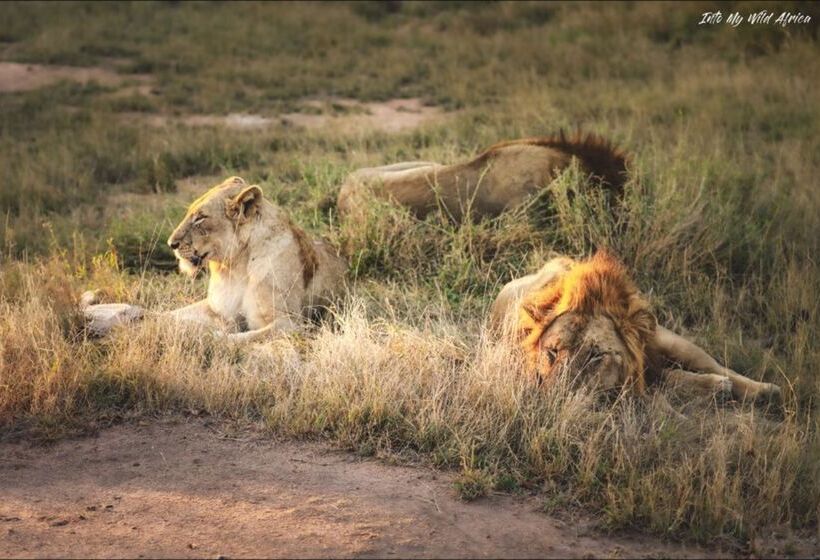 ホテル Baobab Ridge Private Lodge
