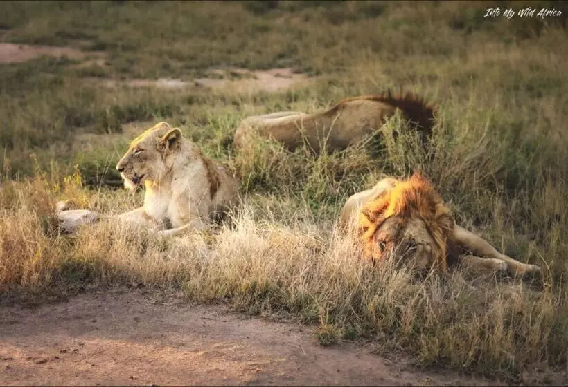 בית מלון כפרי Baobab Ridge Private Lodge