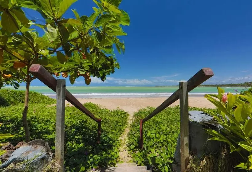 ホテル Pousada Humaita