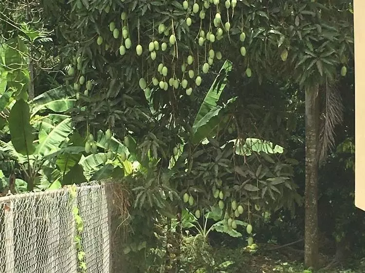 Mi Casa By 7 Beaches