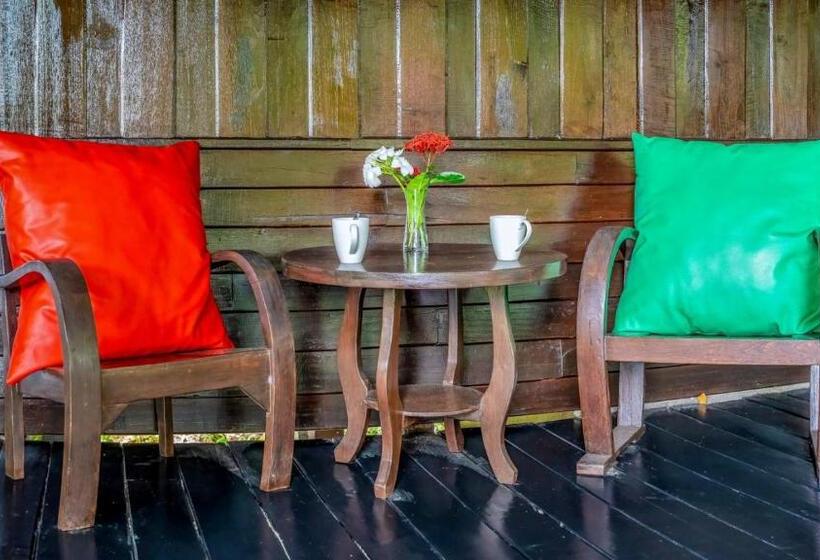 פנסיון Little Village Chiang Mai