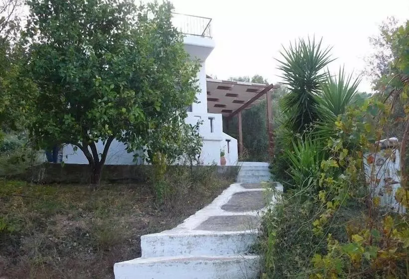Stefanos Garden