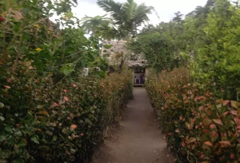 تختخواب و صبحانه Volcano Island Paradise