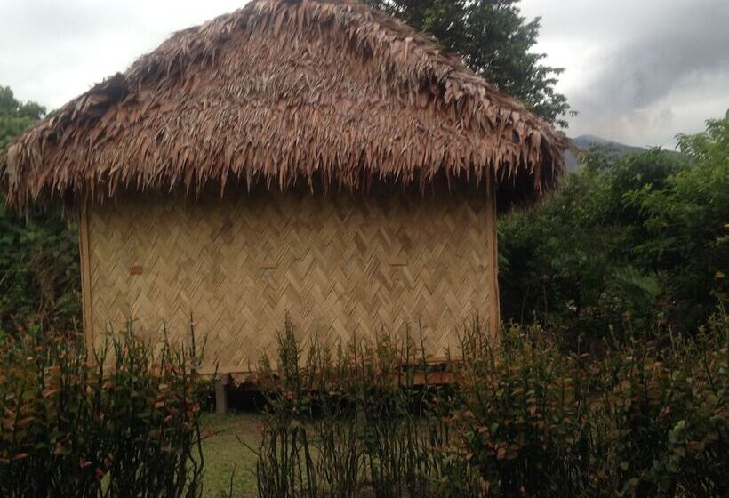 Bed and Breakfast Volcano Island Paradise