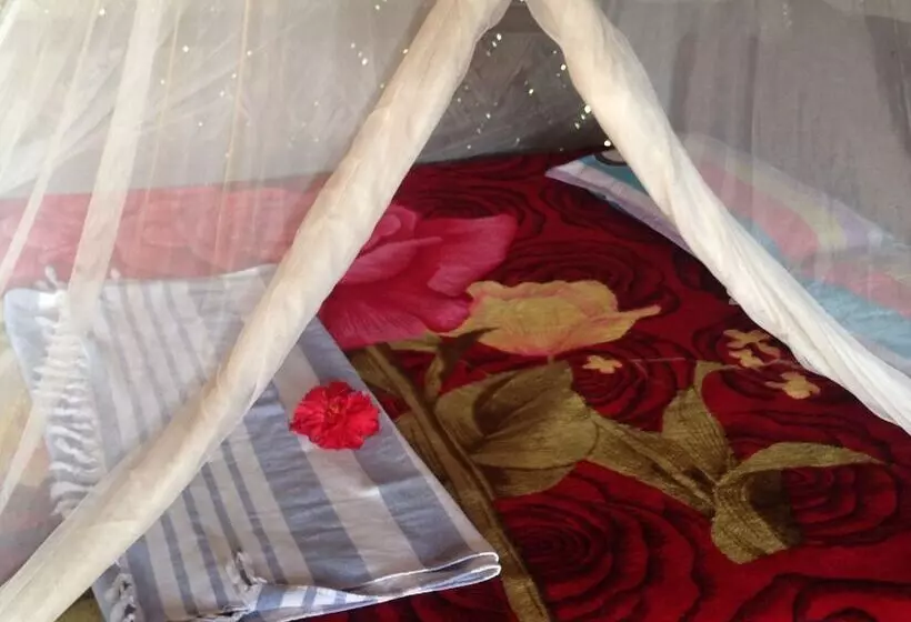 تختخواب و صبحانه Volcano Island Paradise