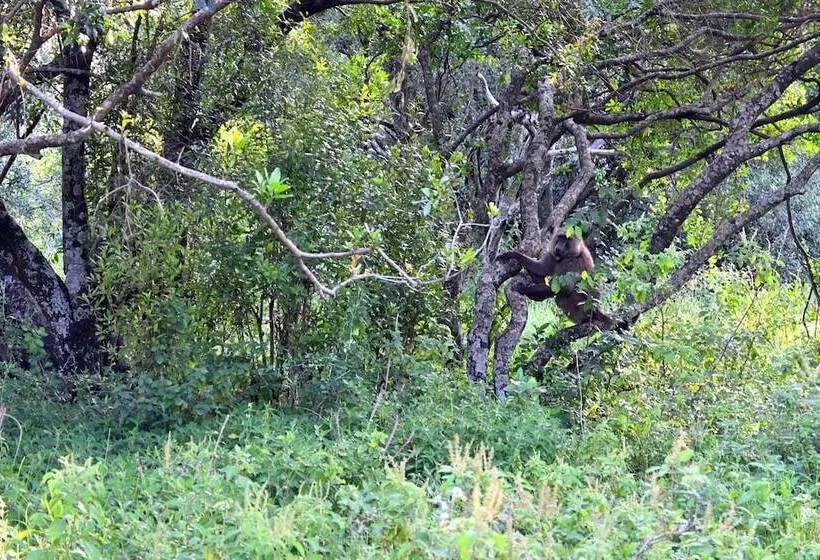 هتل Drunken Elephant Mara