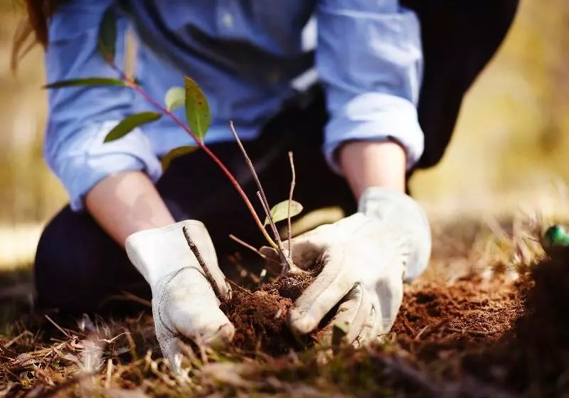 Hotelli Emirates One&only Wolgan Valley Australia