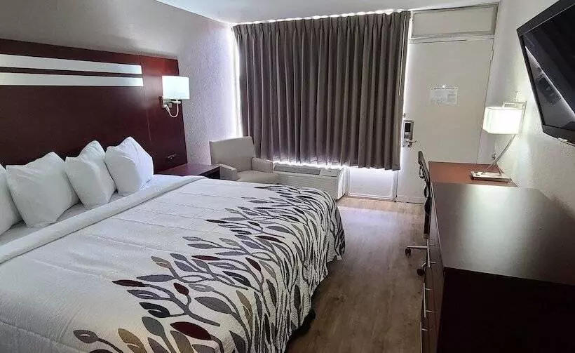 ホテル Red Roof Inn Florence, Sc