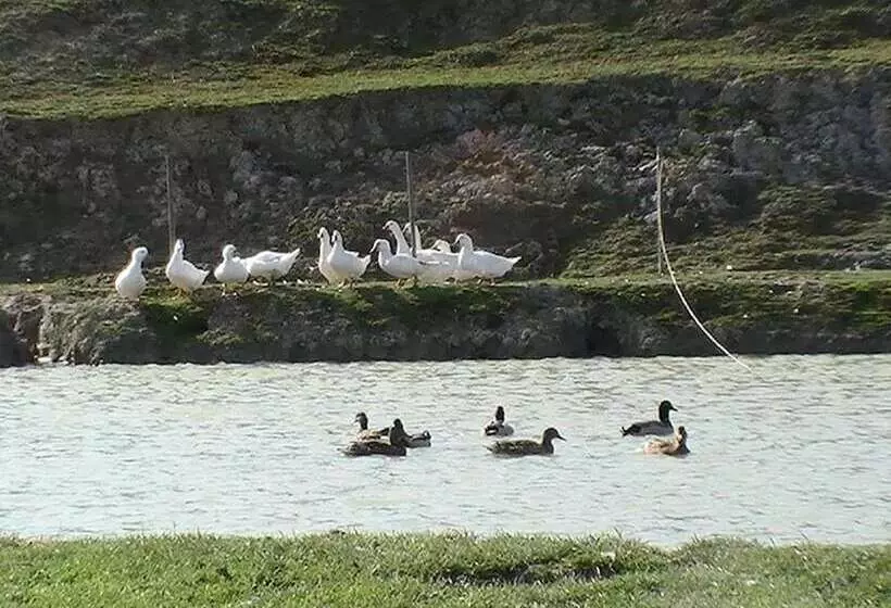 Maaseutuhotelli Il Felcino