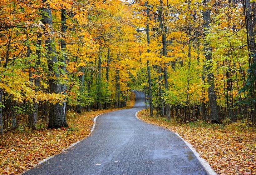 酒店 Village Suites Bay Harbor