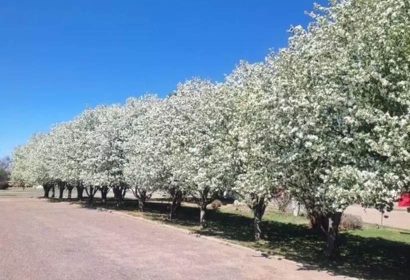 Bed and Breakfast Claremont Inn & Winery